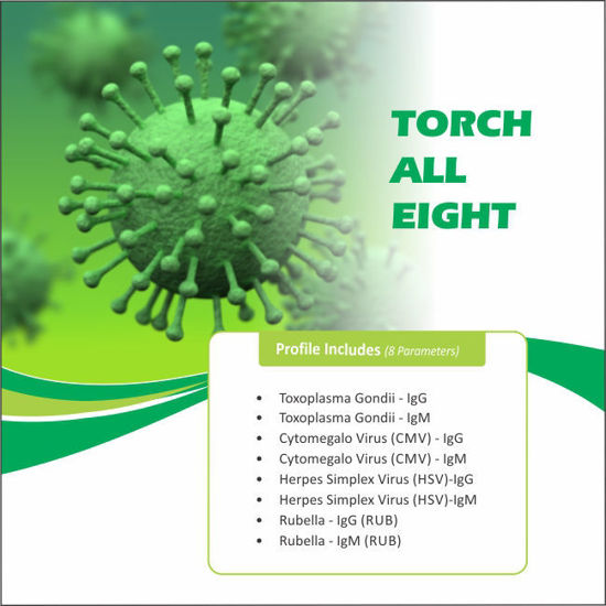 Thyrocare TORCH ALL EIGHT rohtak