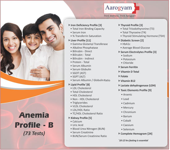 Anemia Profile B