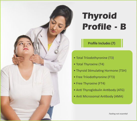 Thyrocare THYROID PROFILE B sangareddy